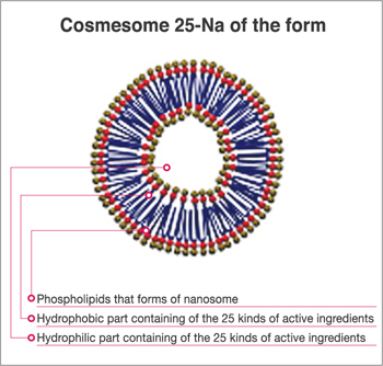 Nano-3D-3rd stabilization